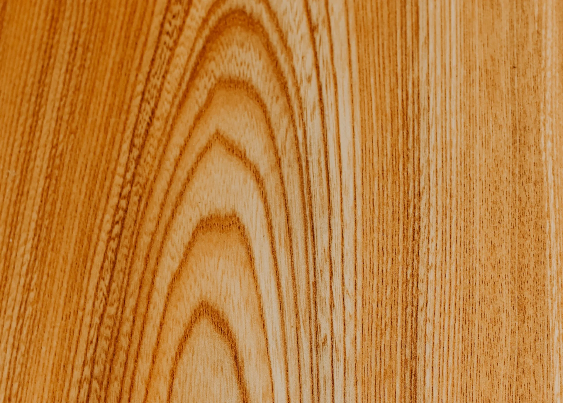 Caratteristiche del legno